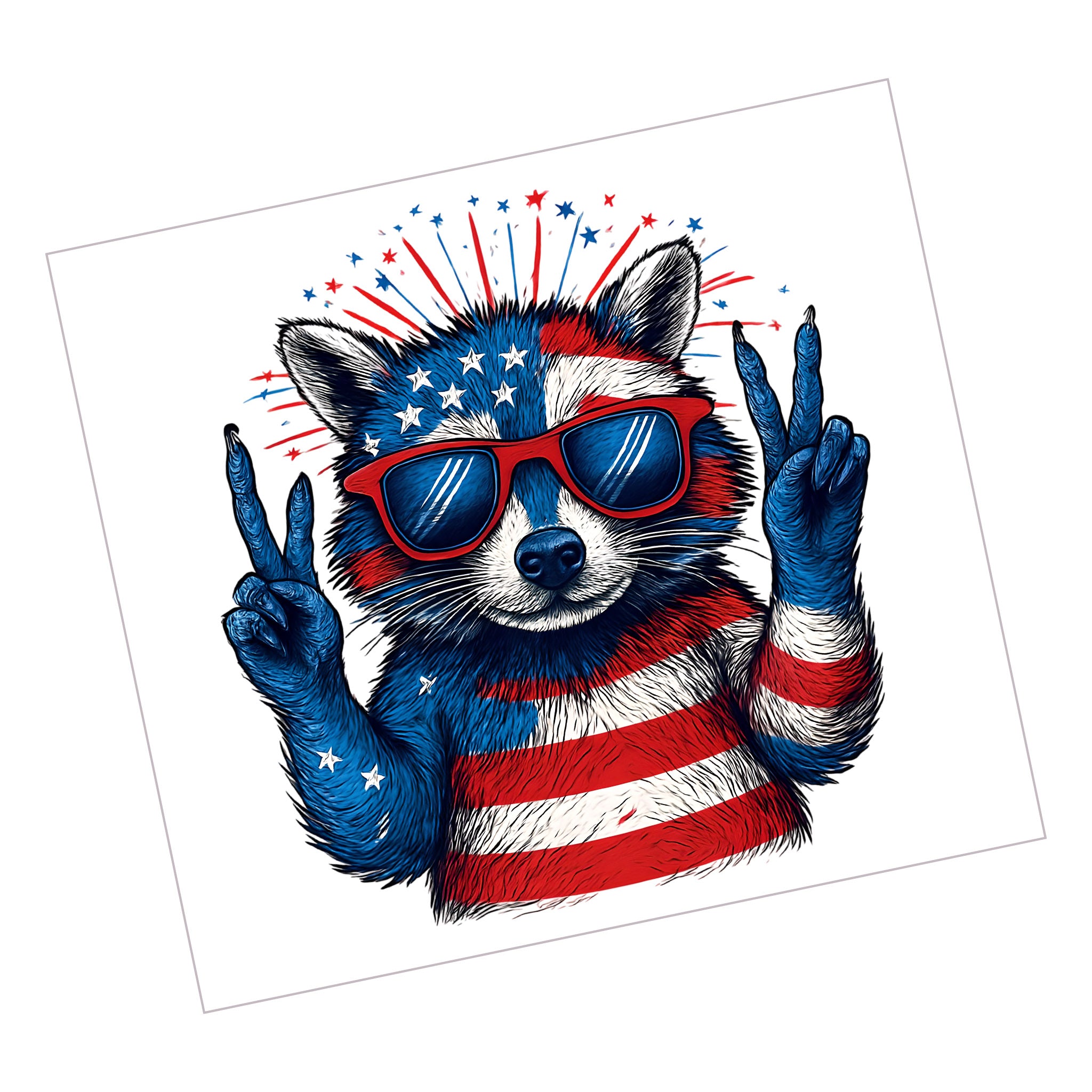 4th July Racoon