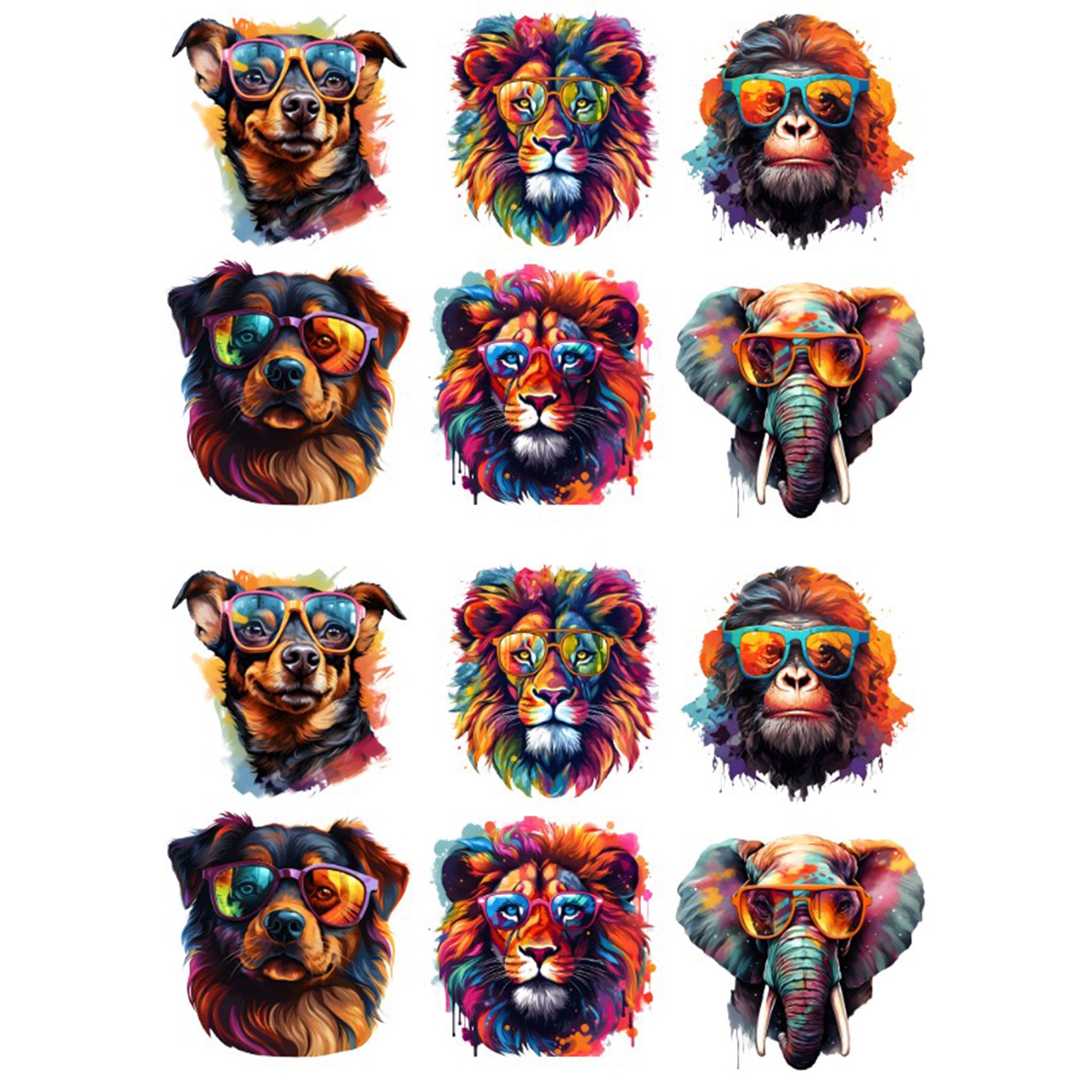 A4 Animal Glasses 2