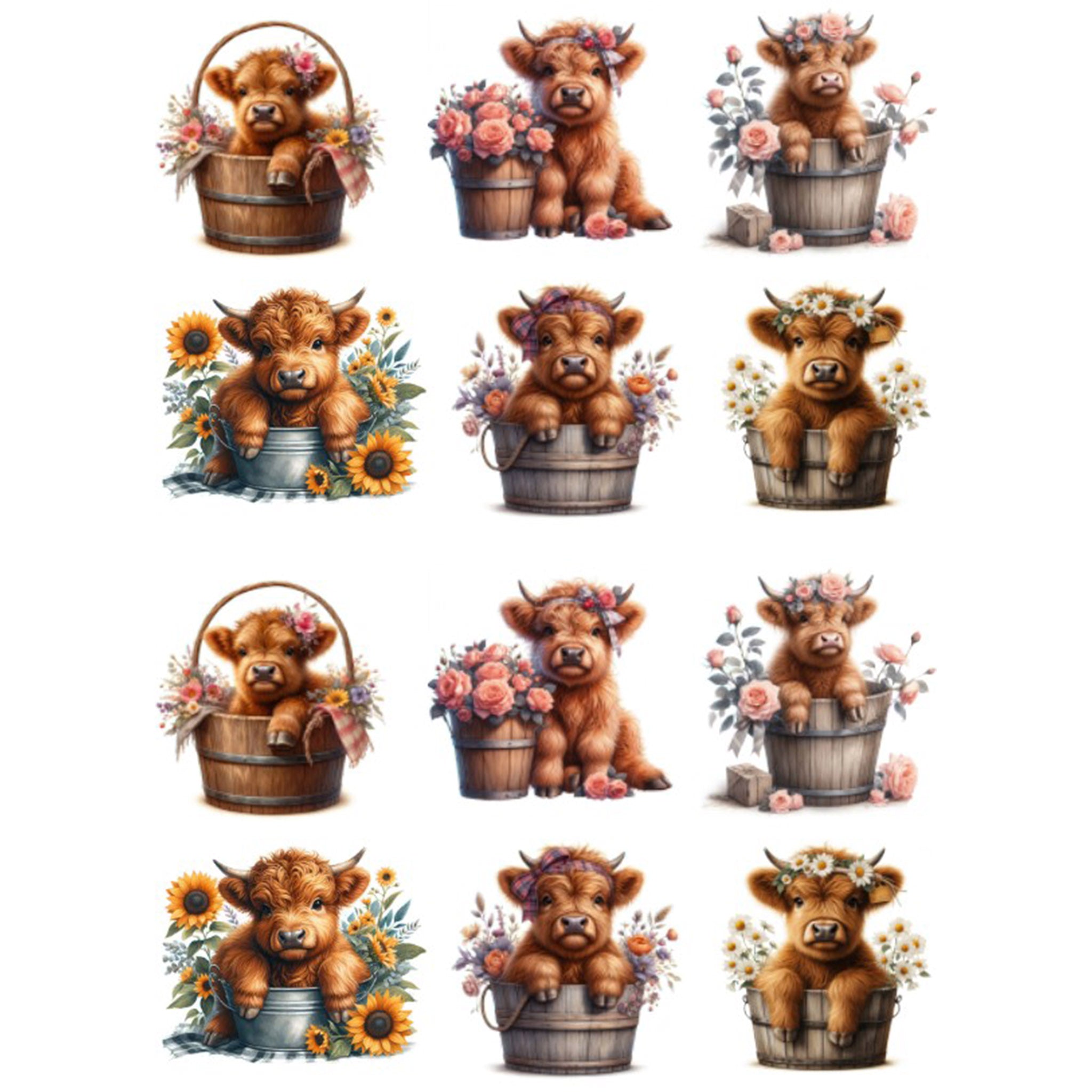 A4 Highland Cow 7