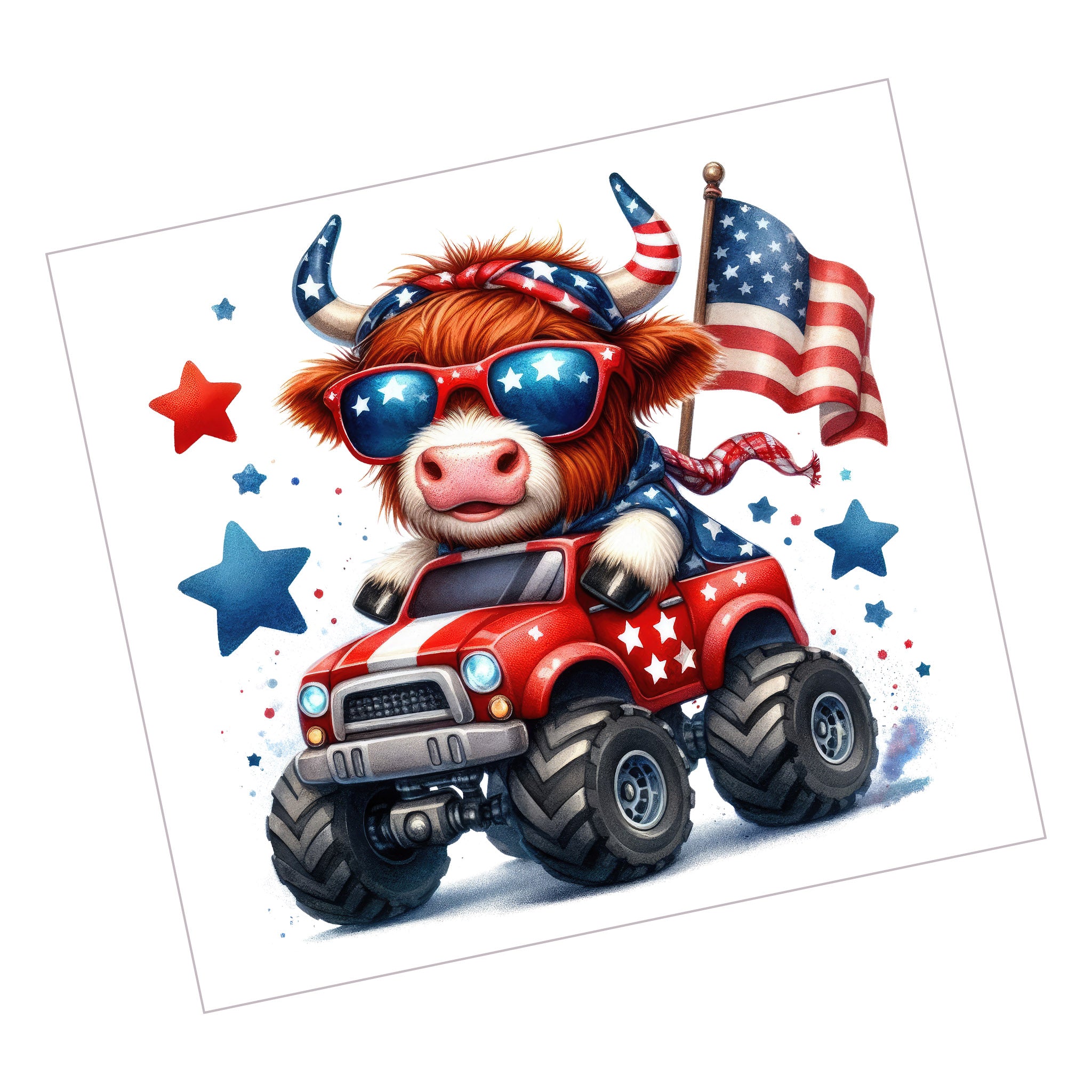 USA Highland Cow 2