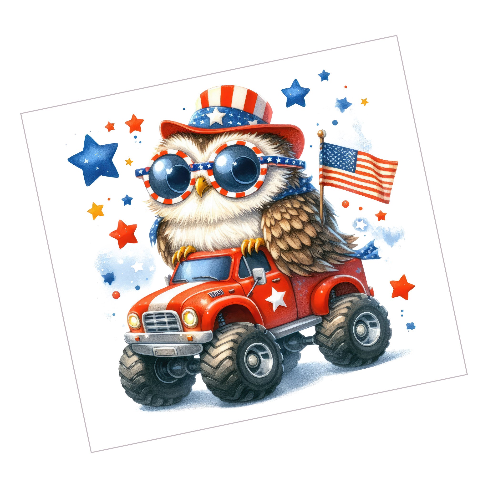 USA Owl